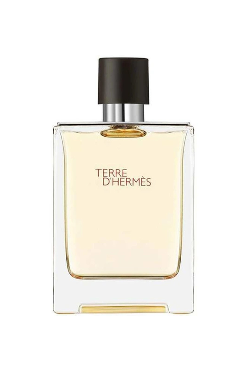عطر ادکلن هرمس تق هرمس | Hermes Terre d’Hermes 100 ml